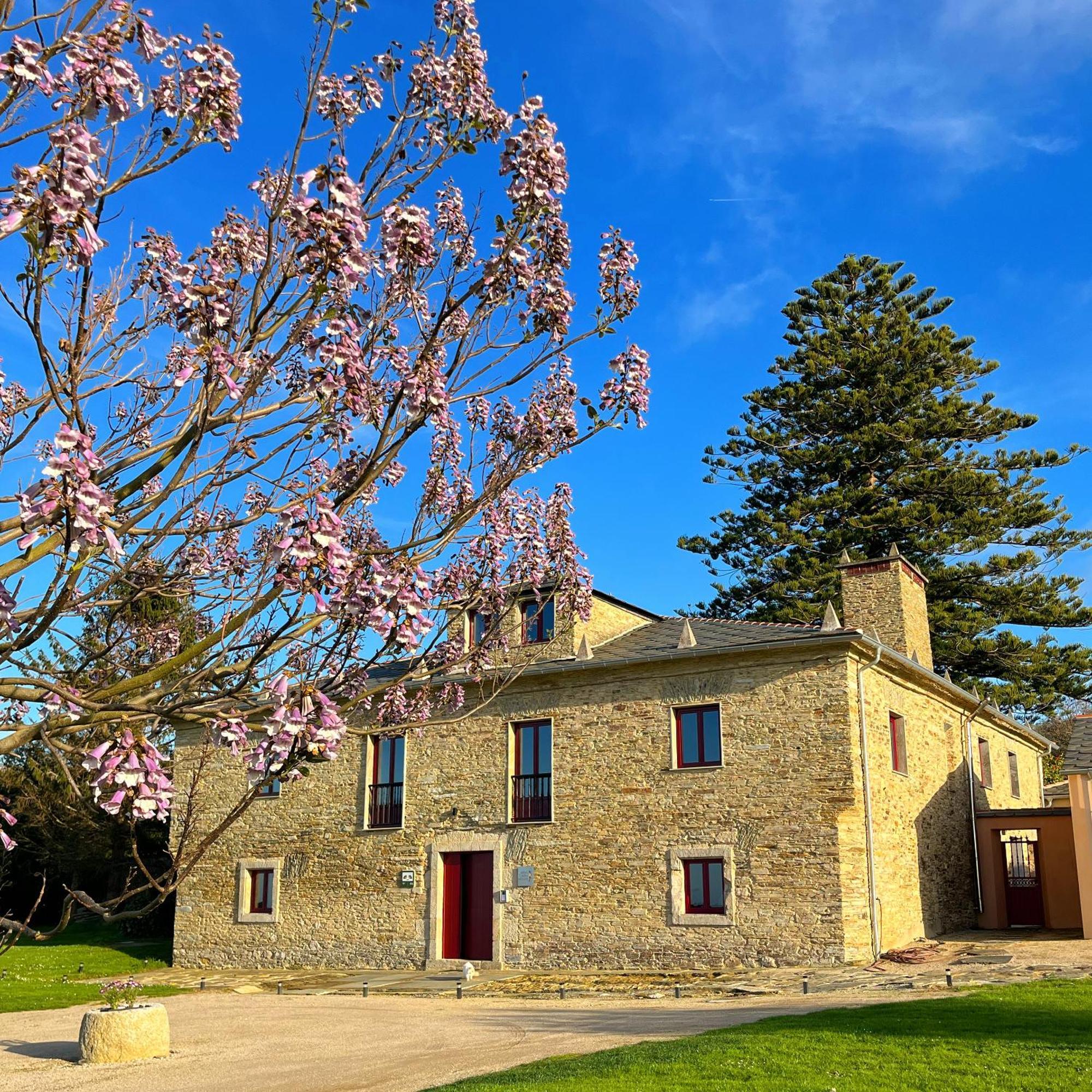 Araucaria House Vendégház Barreiros Municipality Kültér fotó