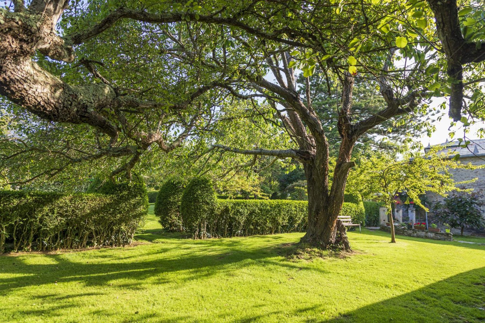 Araucaria House Vendégház Barreiros Kültér fotó