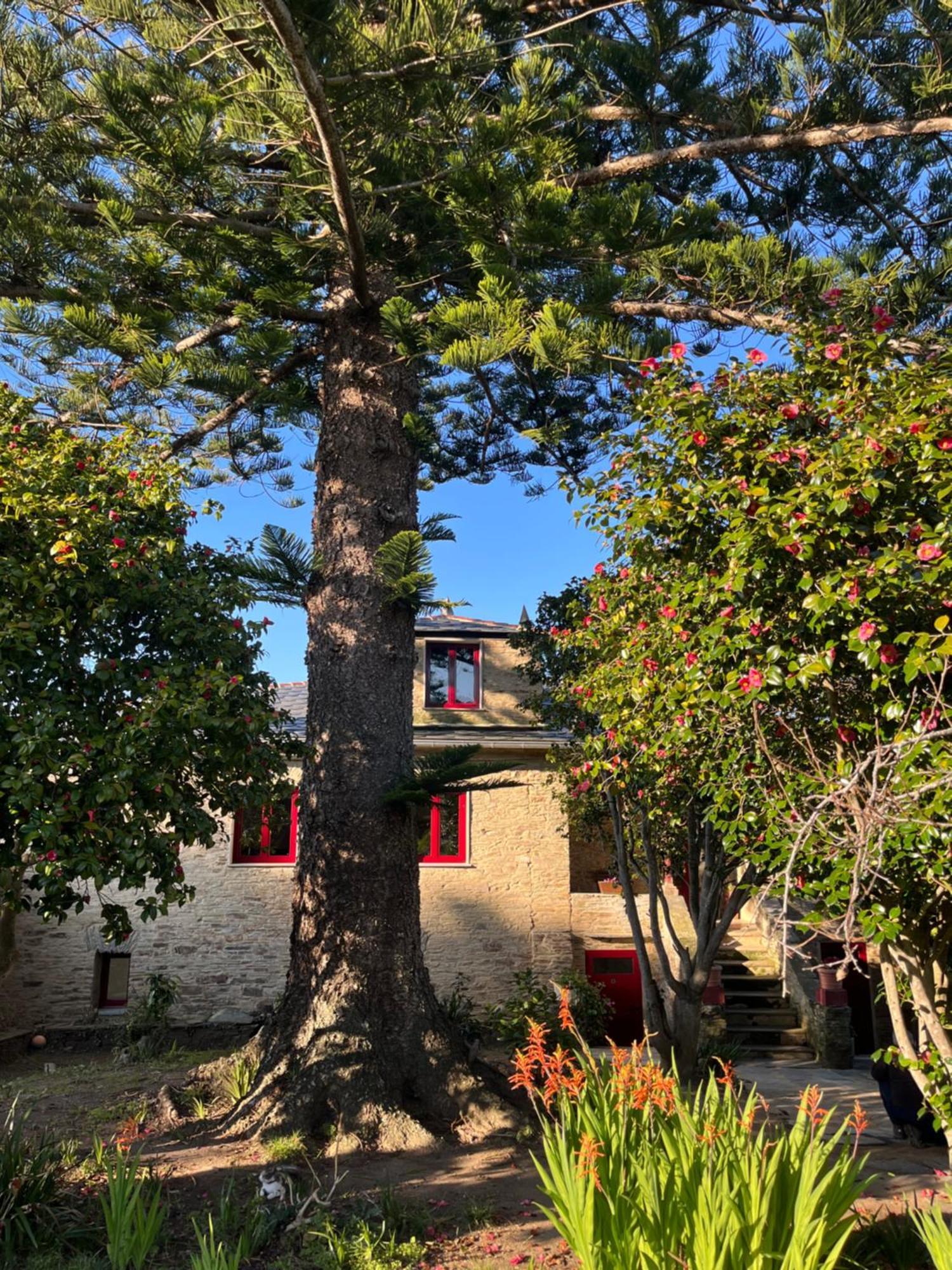 Araucaria House Vendégház Barreiros Municipality Kültér fotó