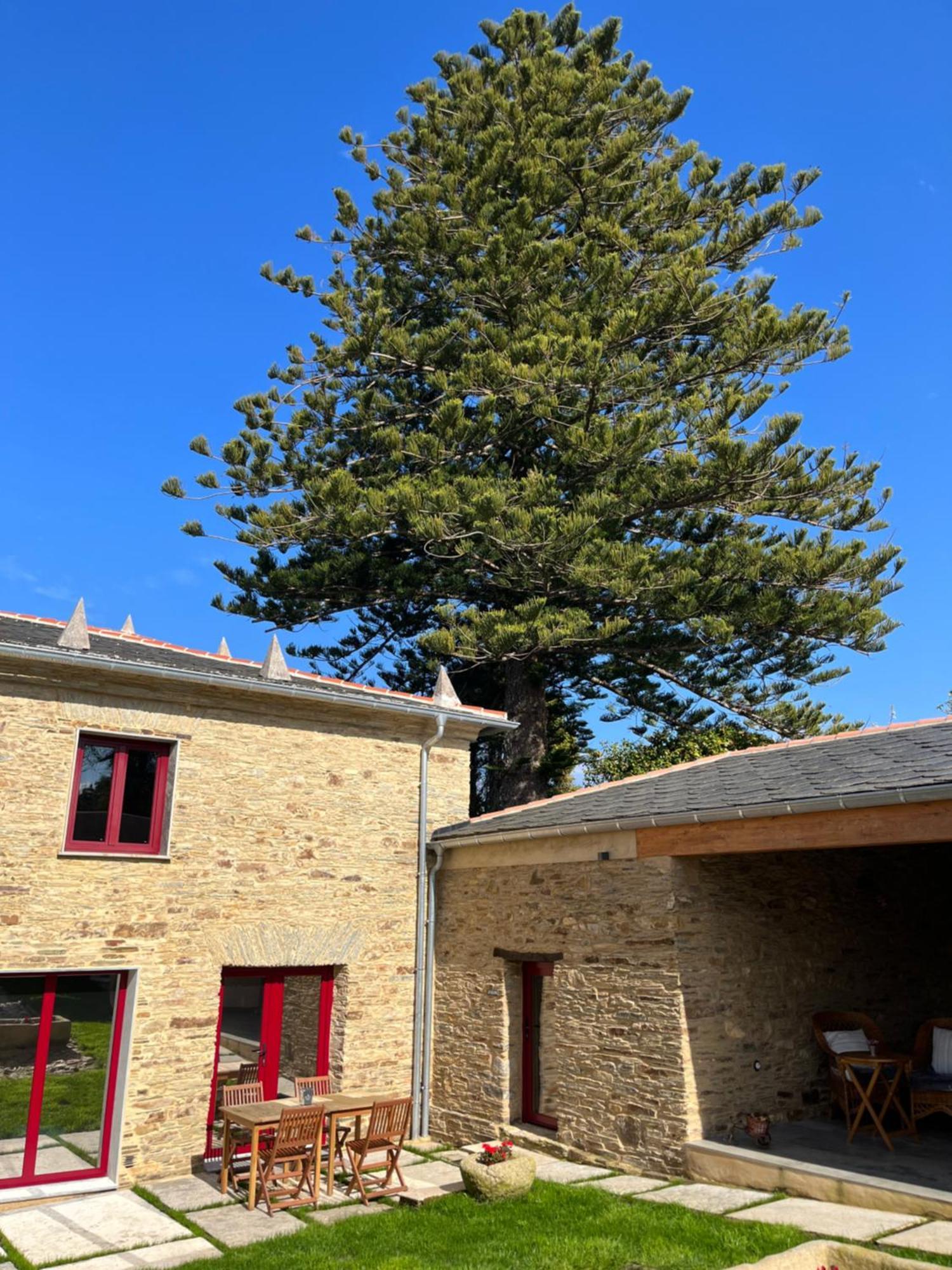 Araucaria House Vendégház Barreiros Municipality Kültér fotó