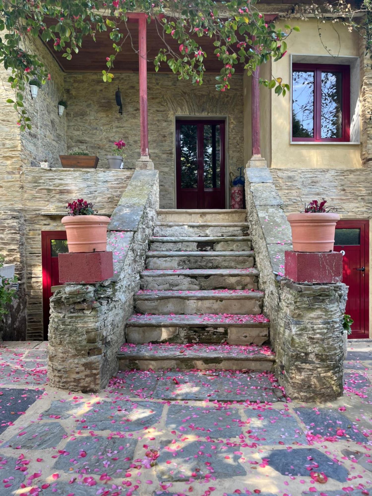 Araucaria House Vendégház Barreiros Municipality Kültér fotó